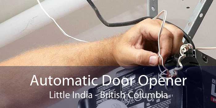 Automatic Door Opener Little India - British Columbia