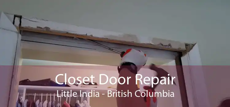 Closet Door Repair Little India - British Columbia