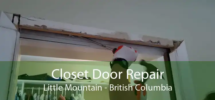 Closet Door Repair Little Mountain - British Columbia