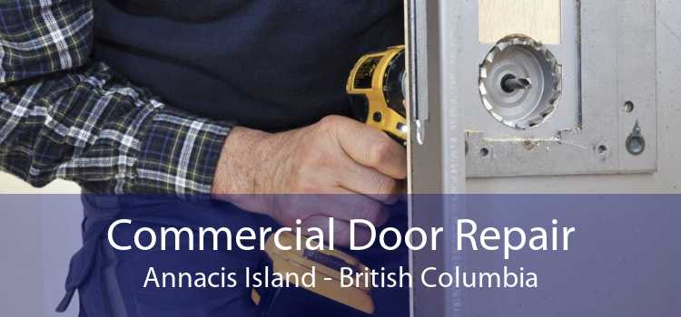 Commercial Door Repair Annacis Island - British Columbia