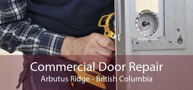 Commercial Door Repair Arbutus Ridge - British Columbia
