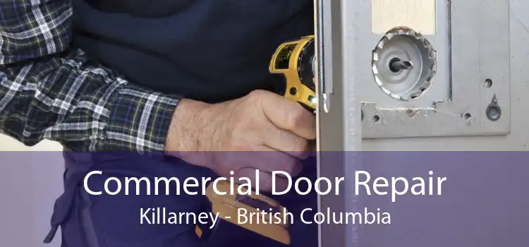 Commercial Door Repair Killarney - British Columbia