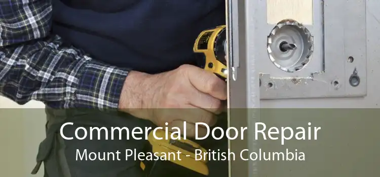 Commercial Door Repair Mount Pleasant - British Columbia