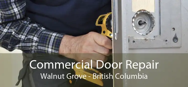 Commercial Door Repair Walnut Grove - British Columbia