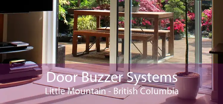 Door Buzzer Systems Little Mountain - British Columbia