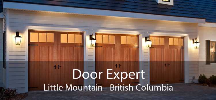 Door Expert Little Mountain - British Columbia