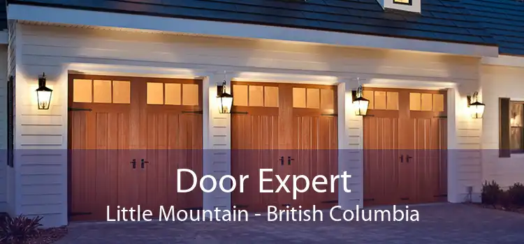 Door Expert Little Mountain - British Columbia