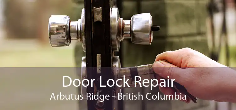 Door Lock Repair Arbutus Ridge - British Columbia