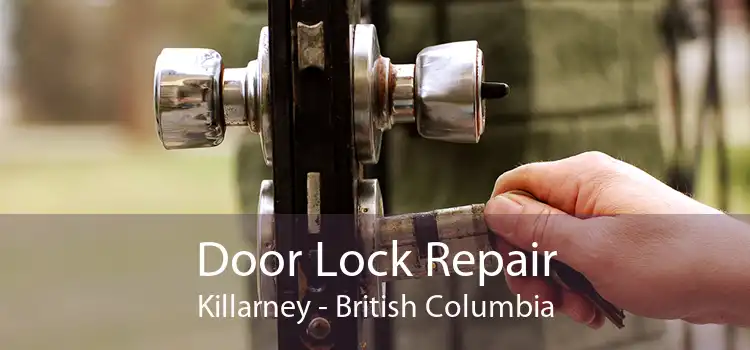 Door Lock Repair Killarney - British Columbia