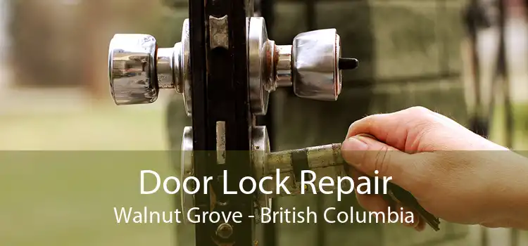 Door Lock Repair Walnut Grove - British Columbia
