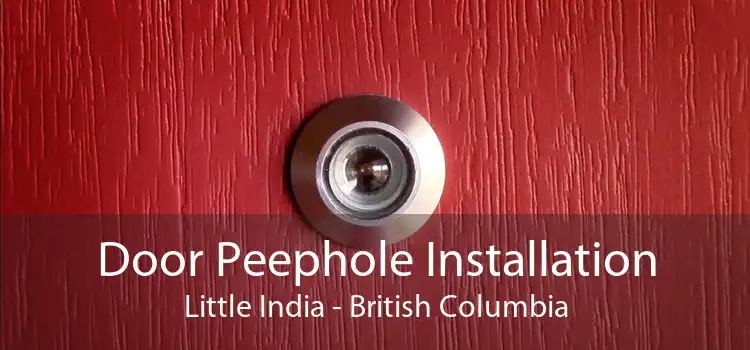 Door Peephole Installation Little India - British Columbia