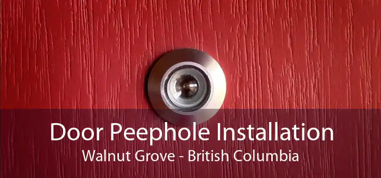 Door Peephole Installation Walnut Grove - British Columbia