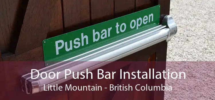 Door Push Bar Installation Little Mountain - British Columbia