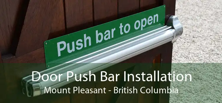 Door Push Bar Installation Mount Pleasant - British Columbia