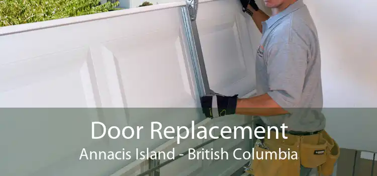 Door Replacement Annacis Island - British Columbia