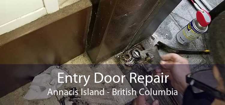 Entry Door Repair Annacis Island - British Columbia