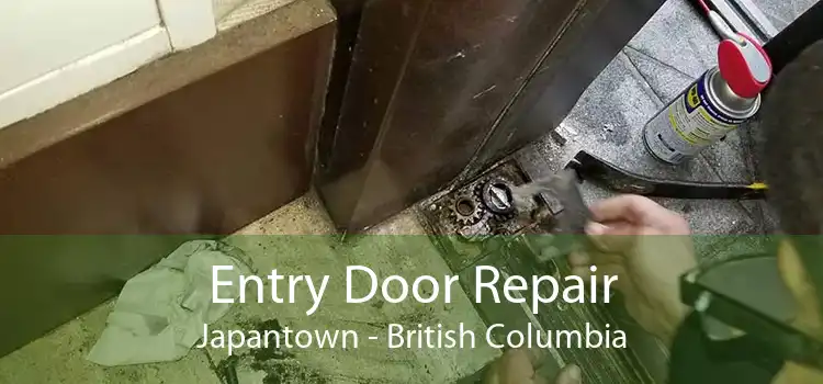 Entry Door Repair Japantown - British Columbia