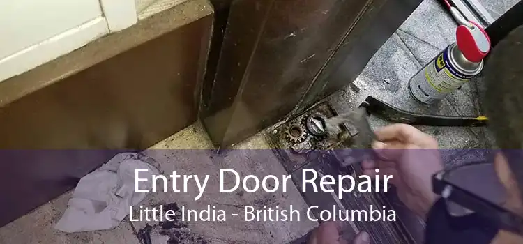 Entry Door Repair Little India - British Columbia