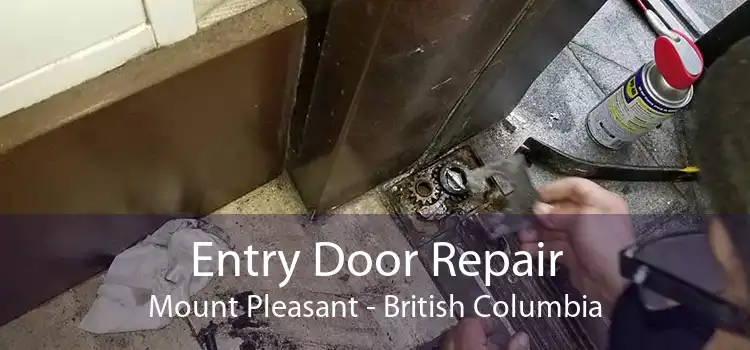 Entry Door Repair Mount Pleasant - British Columbia
