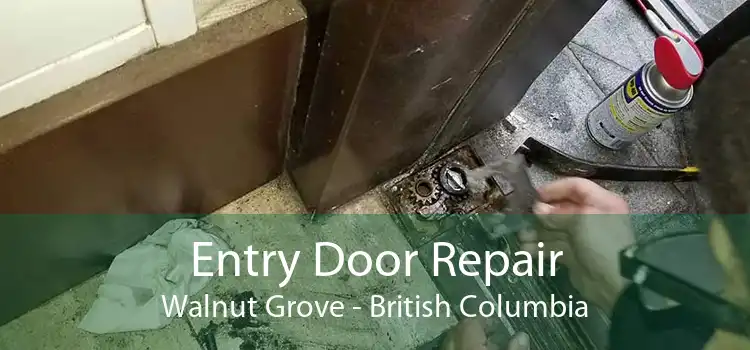 Entry Door Repair Walnut Grove - British Columbia