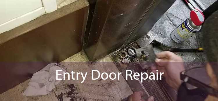 Entry Door Repair  - 