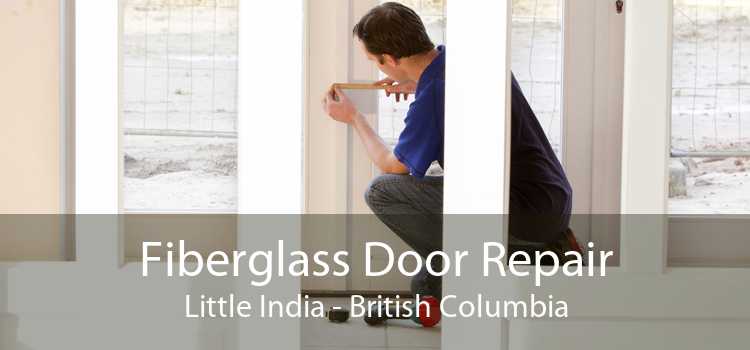 Fiberglass Door Repair Little India - British Columbia