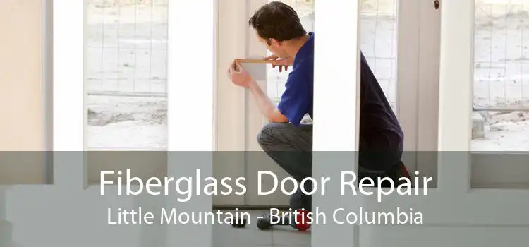 Fiberglass Door Repair Little Mountain - British Columbia