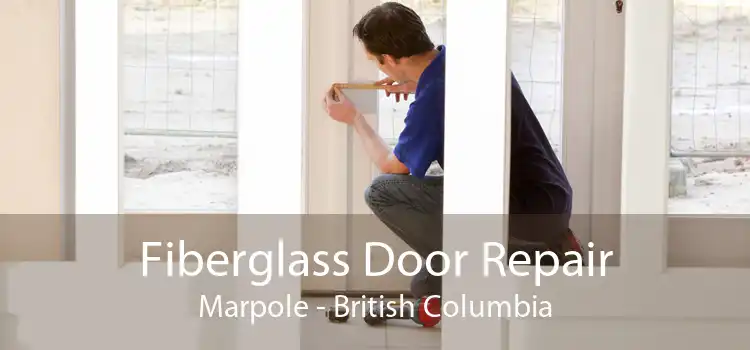 Fiberglass Door Repair Marpole - British Columbia
