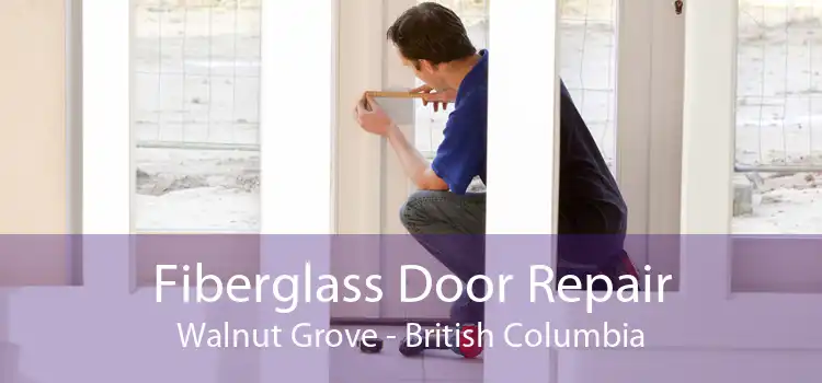 Fiberglass Door Repair Walnut Grove - British Columbia