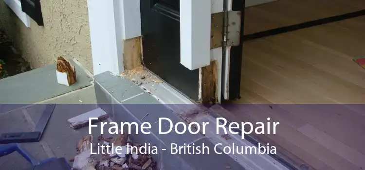 Frame Door Repair Little India - British Columbia