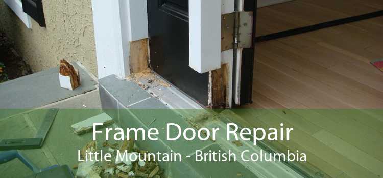 Frame Door Repair Little Mountain - British Columbia
