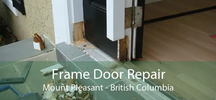 Frame Door Repair Mount Pleasant - British Columbia