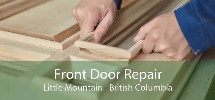Front Door Repair Little Mountain - British Columbia
