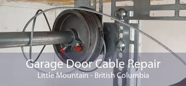 Garage Door Cable Repair Little Mountain - British Columbia