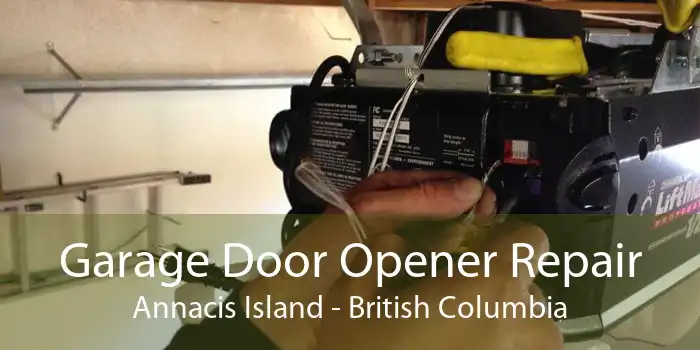 Garage Door Opener Repair Annacis Island - British Columbia