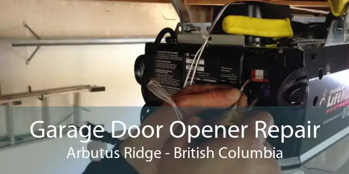 Garage Door Opener Repair Arbutus Ridge - British Columbia