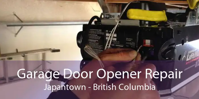 Garage Door Opener Repair Japantown - British Columbia