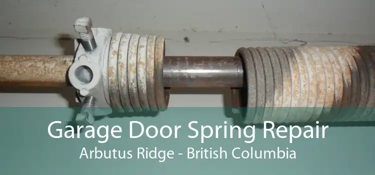Garage Door Spring Repair Arbutus Ridge - British Columbia