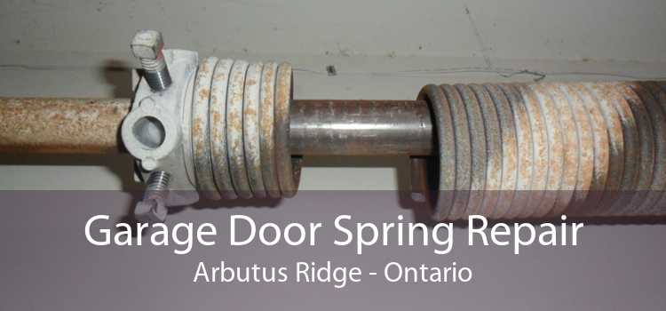 Garage Door Spring Repair Arbutus Ridge - Ontario