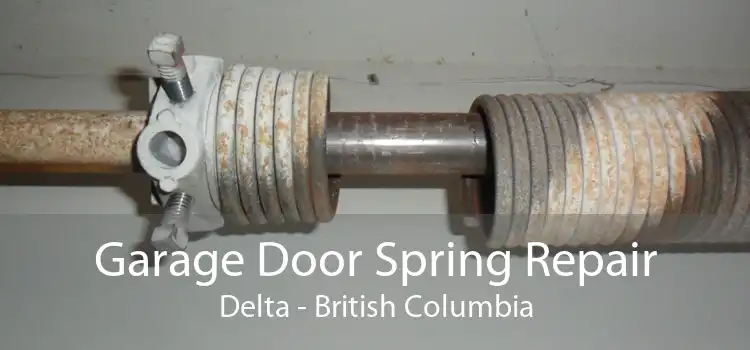 Garage Door Spring Repair Delta - British Columbia