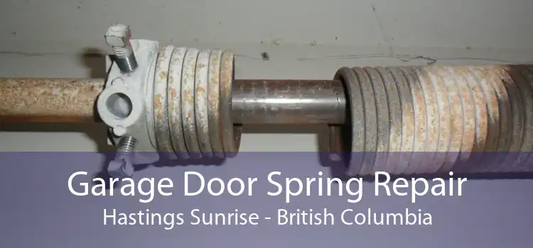 Garage Door Spring Repair Hastings Sunrise - British Columbia