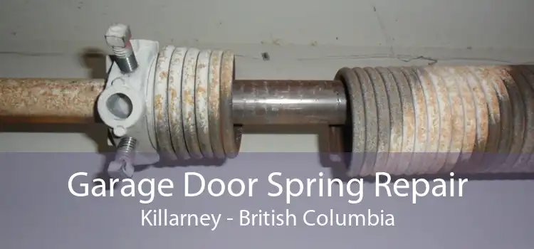 Garage Door Spring Repair Killarney - British Columbia