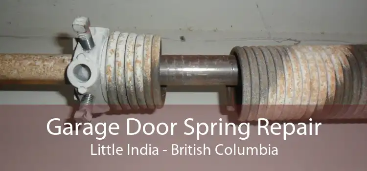 Garage Door Spring Repair Little India - British Columbia