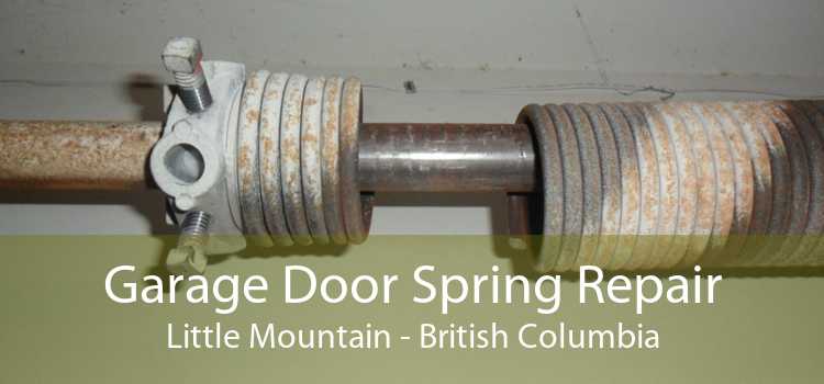 Garage Door Spring Repair Little Mountain - British Columbia