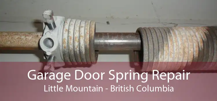 Garage Door Spring Repair Little Mountain - British Columbia