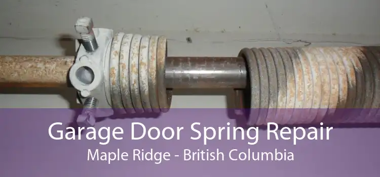 Garage Door Spring Repair Maple Ridge - British Columbia