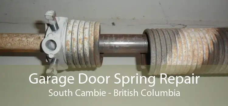 Garage Door Spring Repair South Cambie - British Columbia