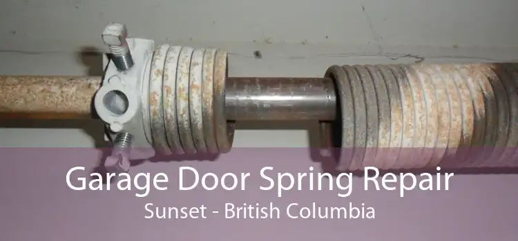 Garage Door Spring Repair Sunset - British Columbia
