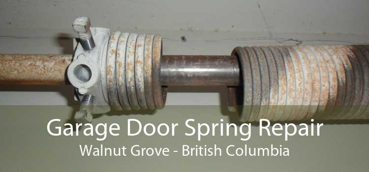 Garage Door Spring Repair Walnut Grove - British Columbia