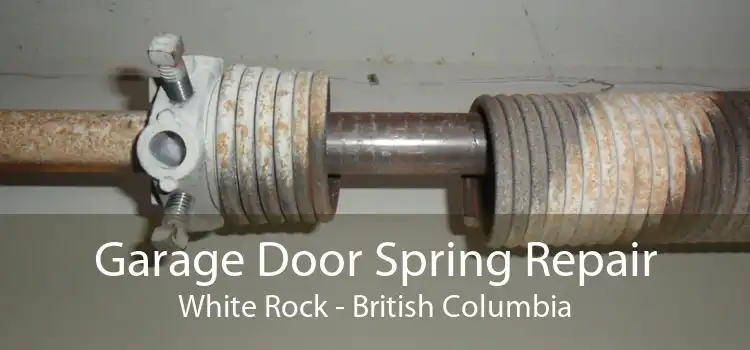 Garage Door Spring Repair White Rock - British Columbia